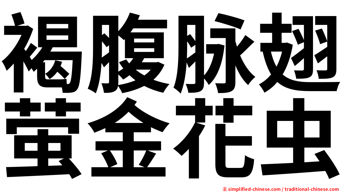 褐腹脉翅萤金花虫