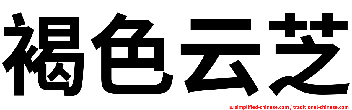 褐色云芝