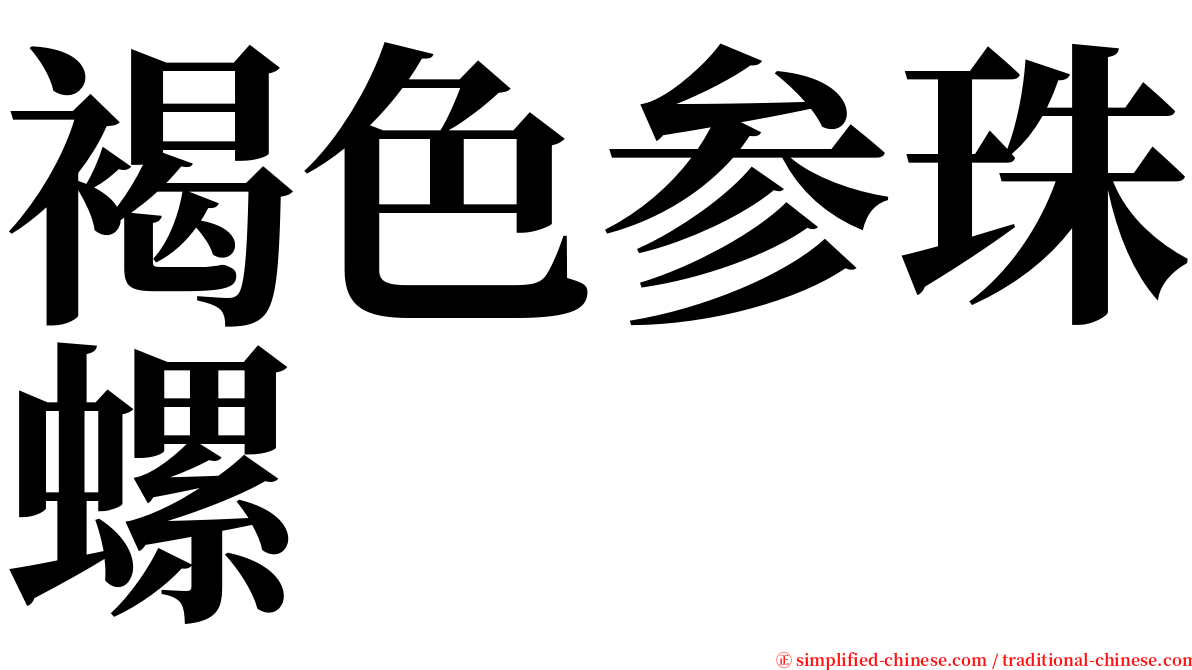 褐色参珠螺 serif font