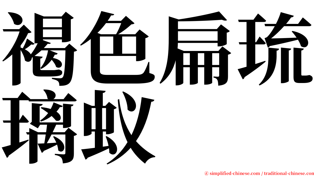 褐色扁琉璃蚁 serif font