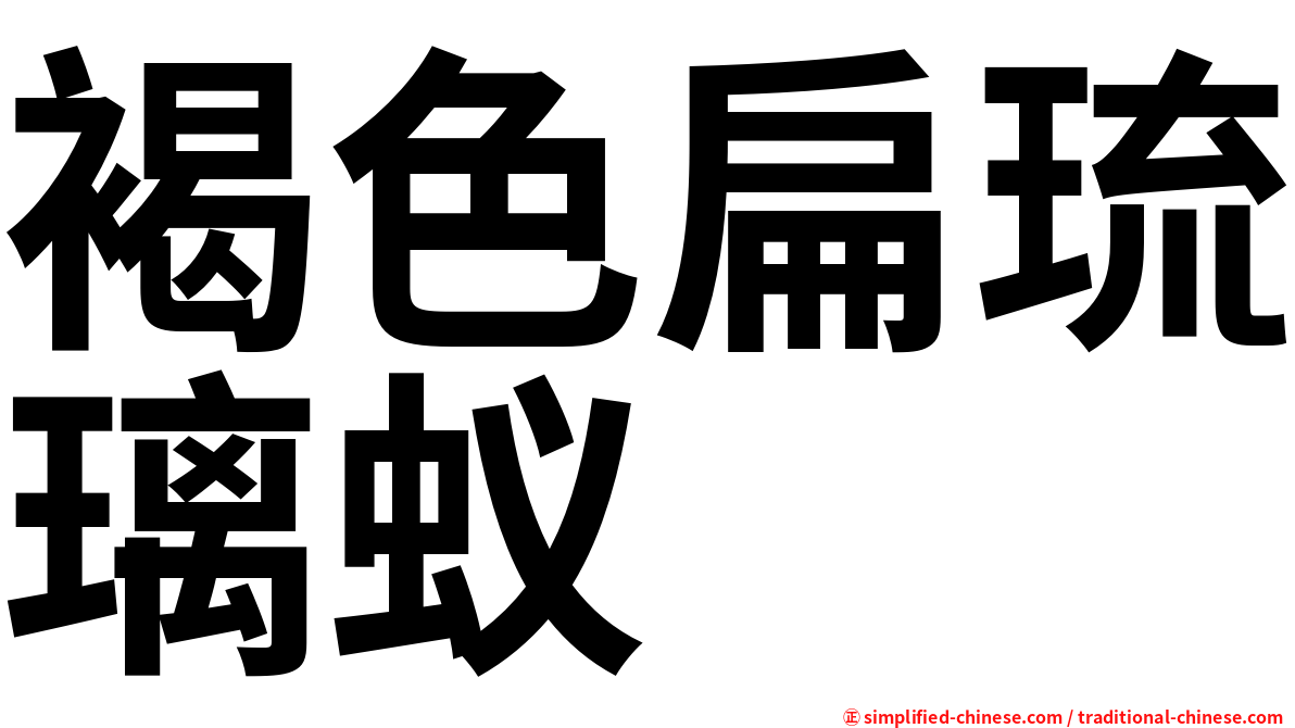 褐色扁琉璃蚁