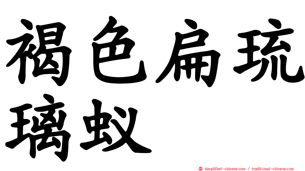 褐色扁琉璃蚁