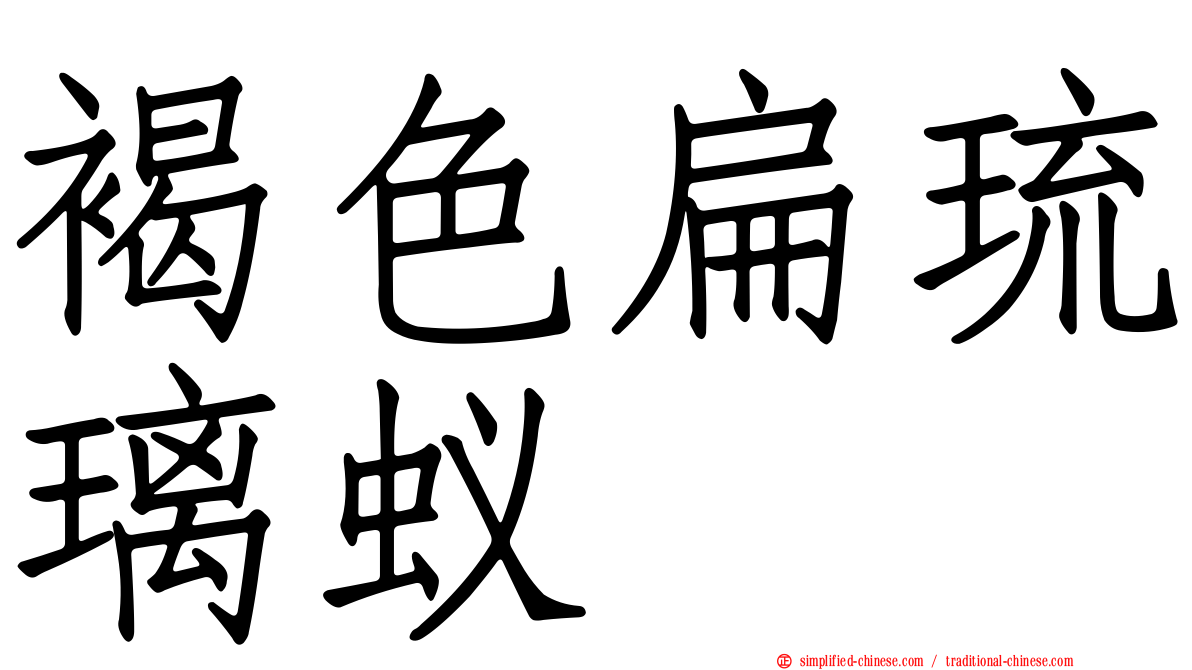 褐色扁琉璃蚁