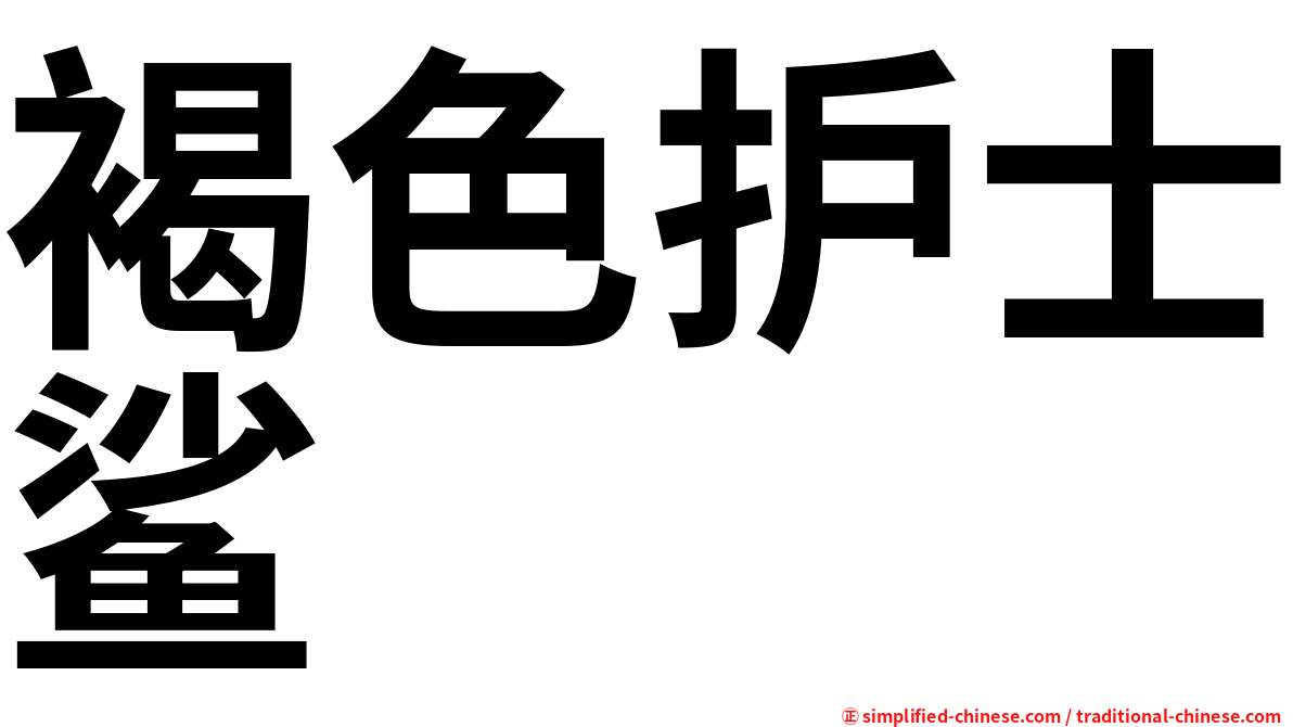 褐色护士鲨