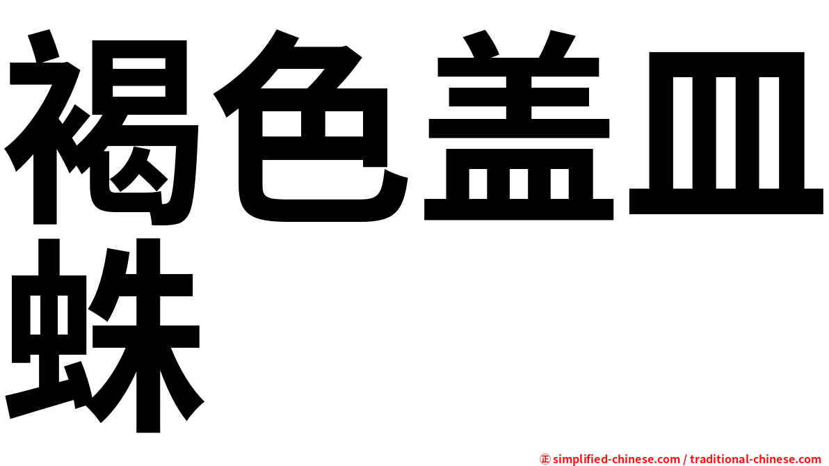 褐色盖皿蛛