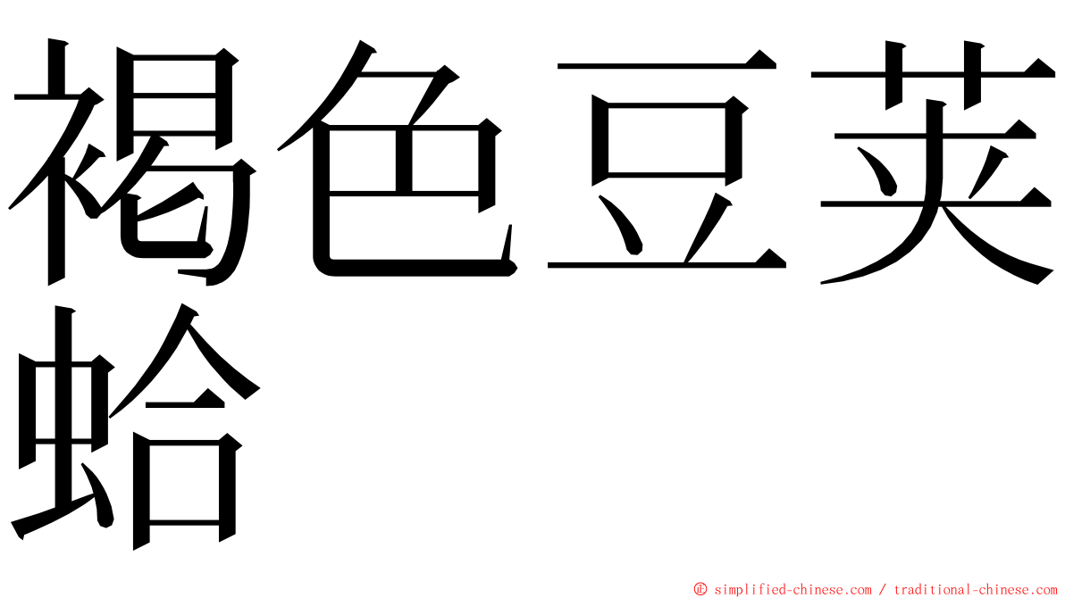 褐色豆荚蛤 ming font
