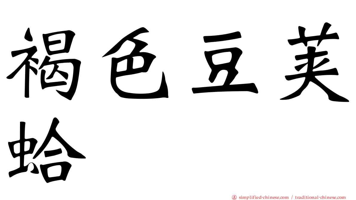 褐色豆荚蛤