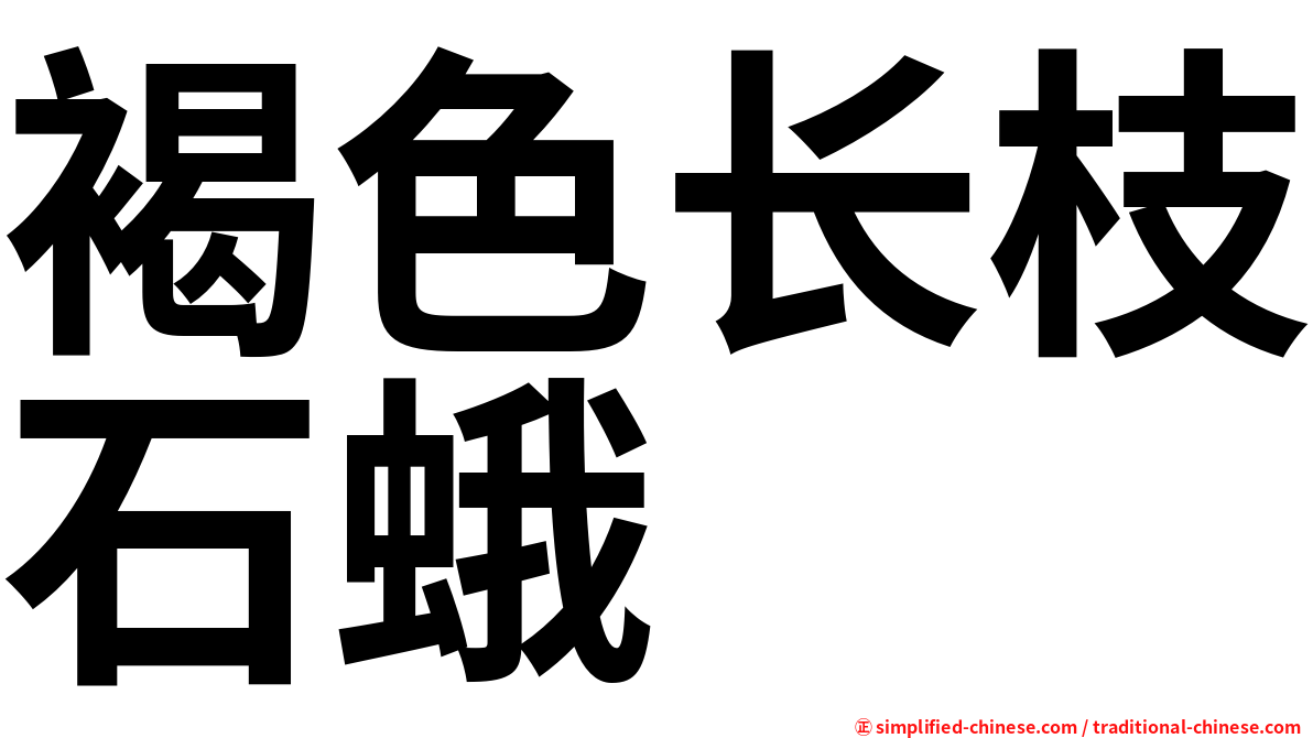 褐色长枝石蛾