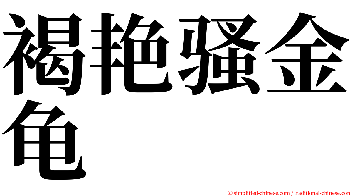 褐艳骚金龟 serif font