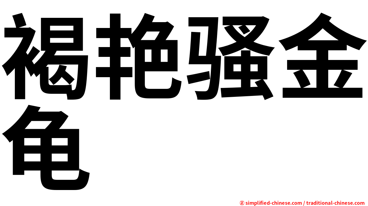 褐艳骚金龟