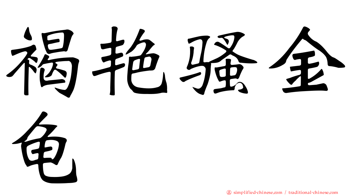 褐艳骚金龟