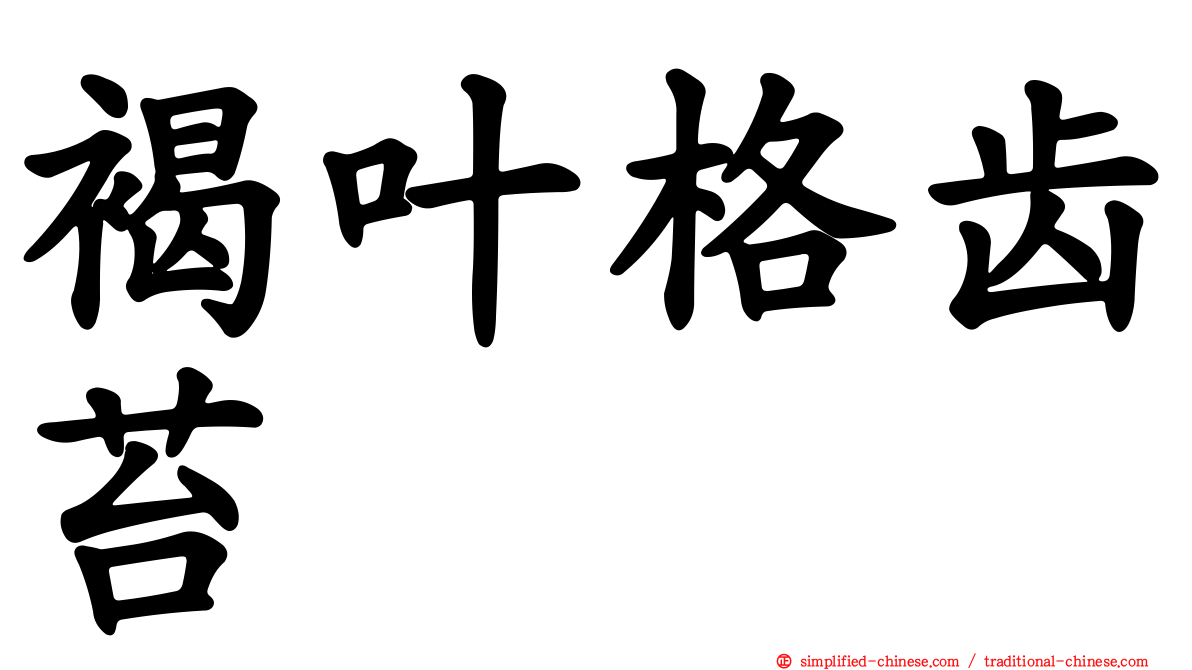 褐叶格齿苔