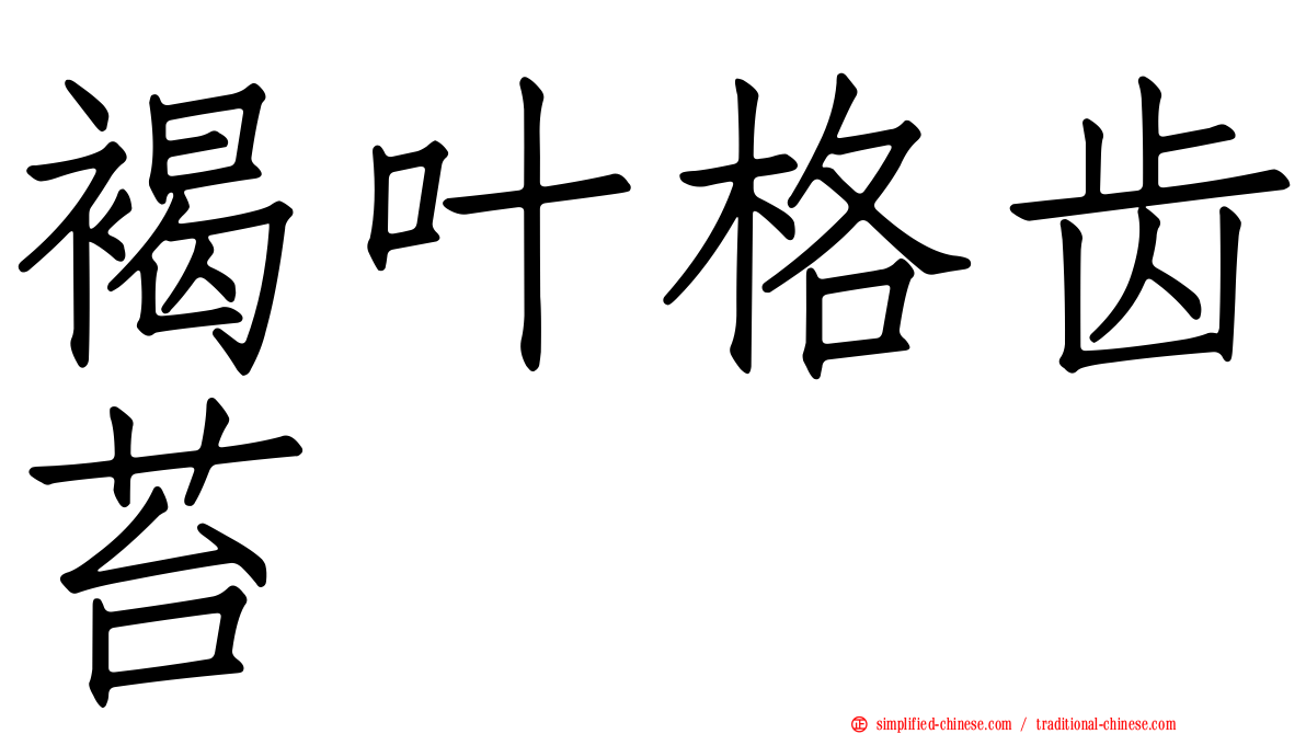 褐叶格齿苔