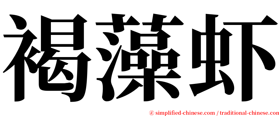 褐藻虾 serif font