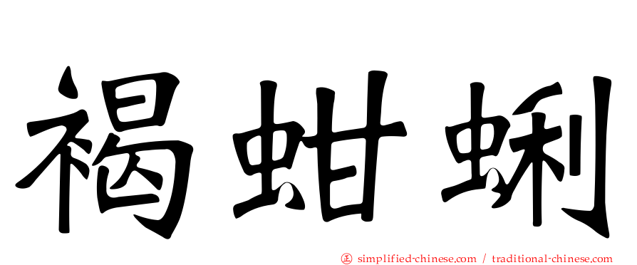 褐蚶蜊