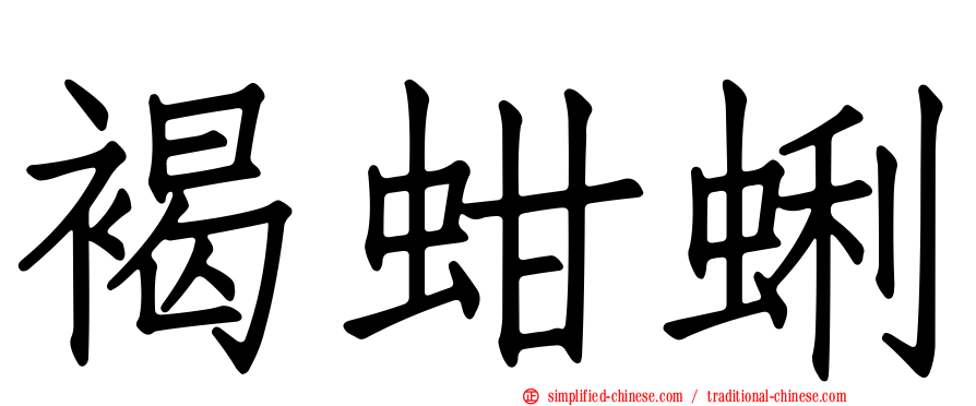 褐蚶蜊