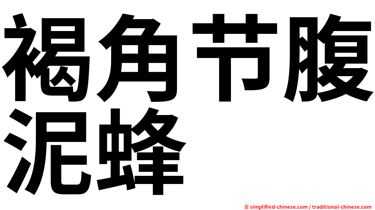 褐角节腹泥蜂
