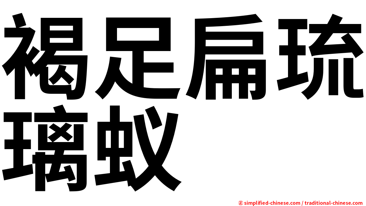 褐足扁琉璃蚁