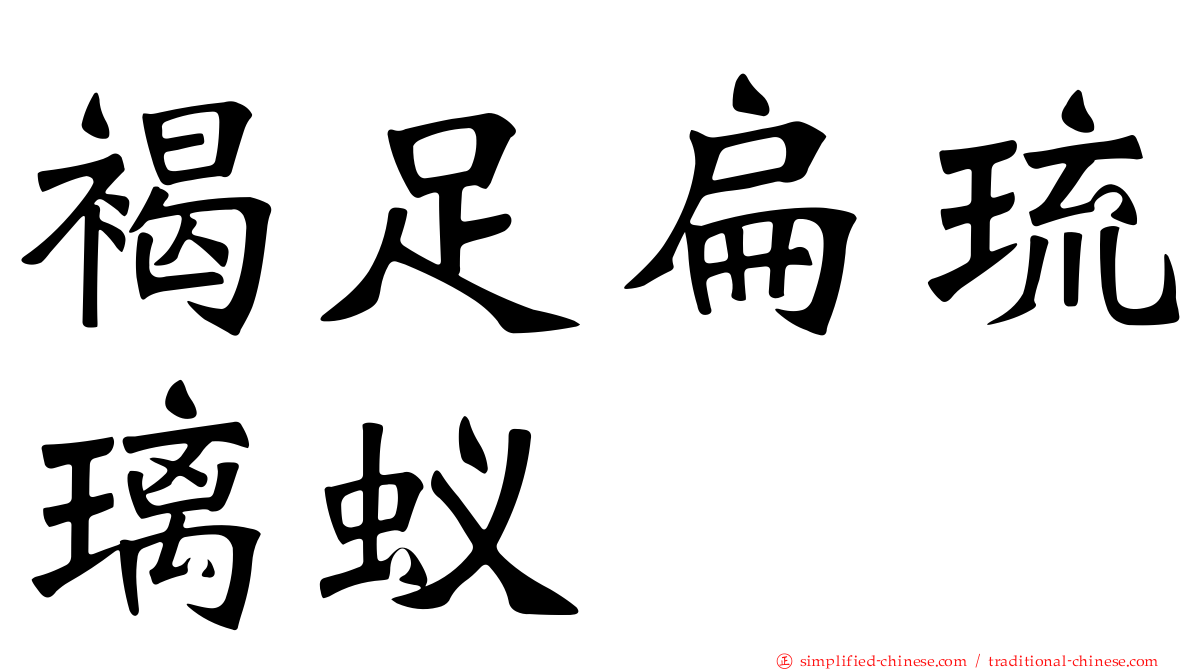 褐足扁琉璃蚁