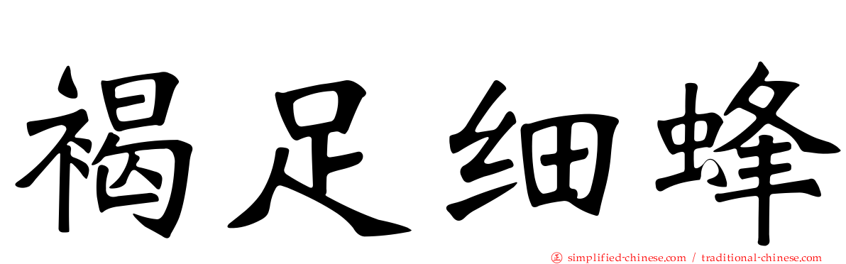 褐足细蜂