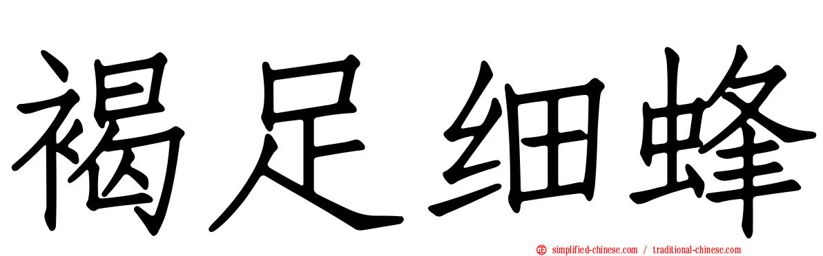 褐足细蜂