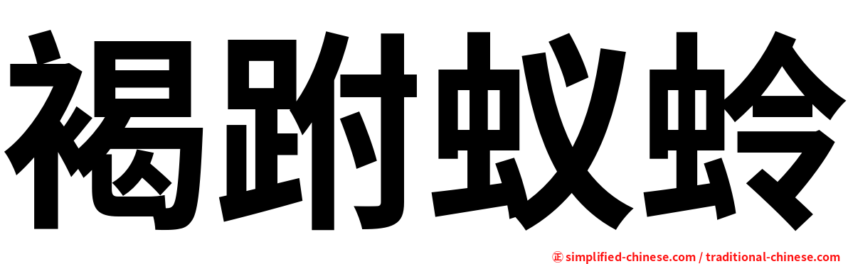褐跗蚁蛉