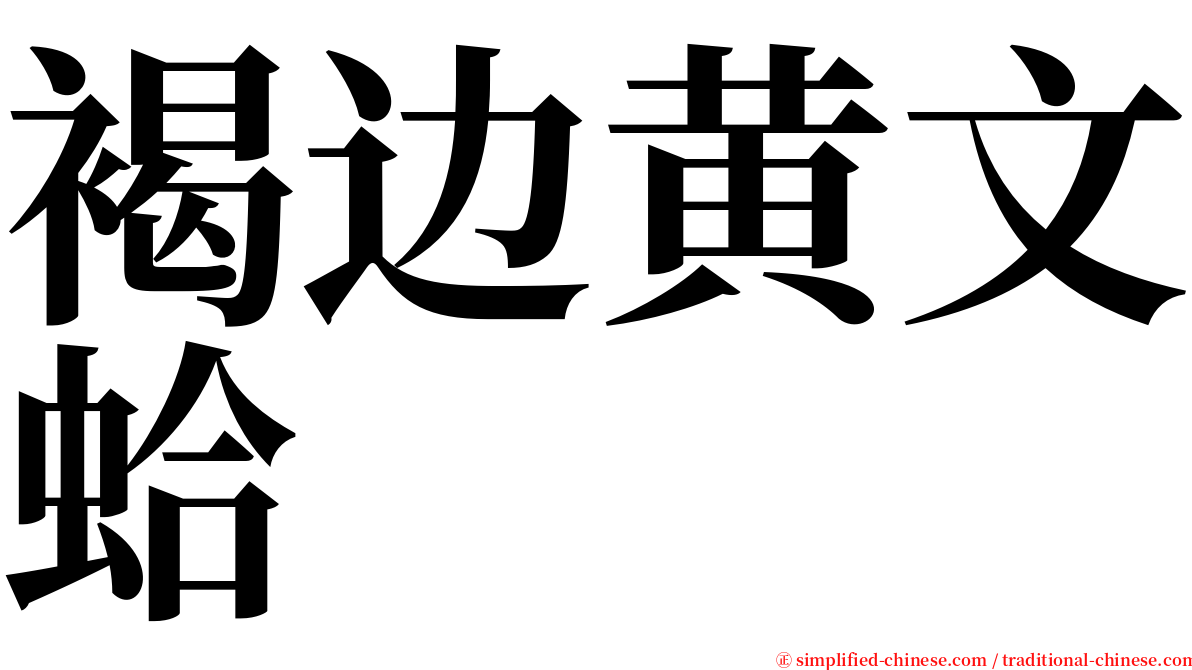 褐边黄文蛤 serif font