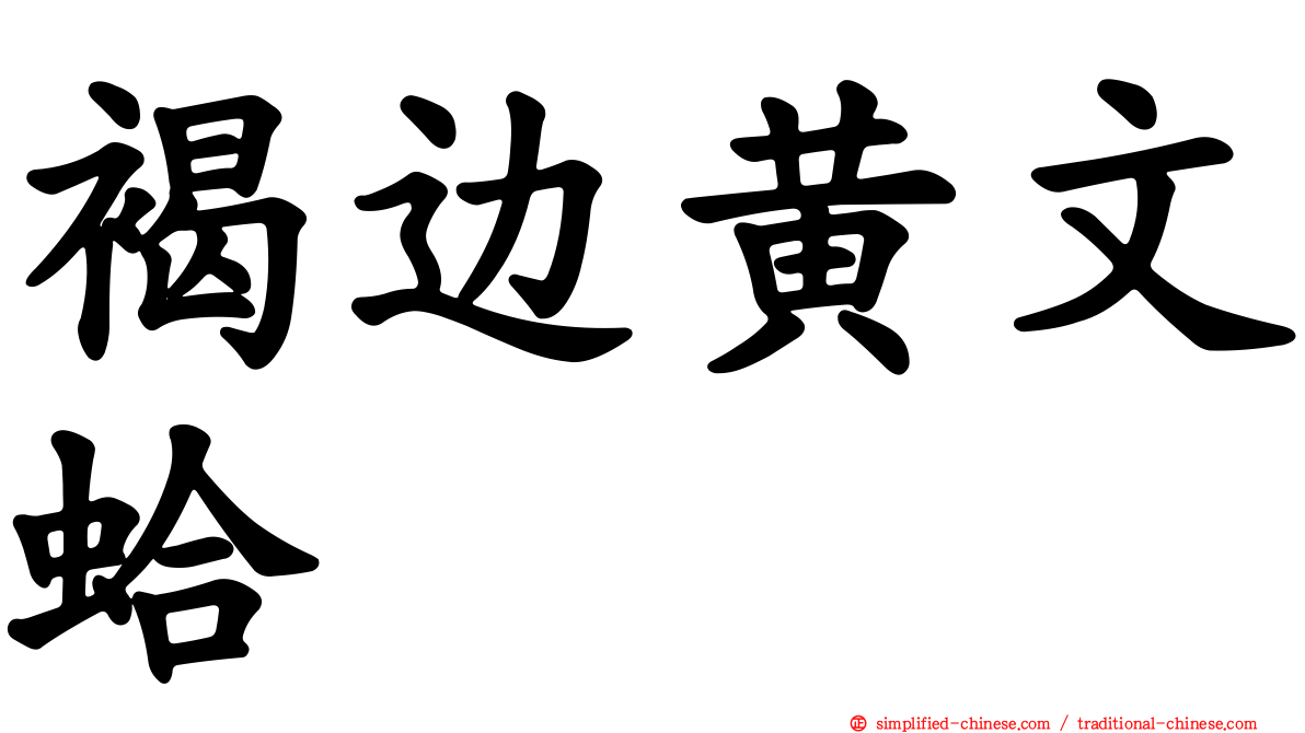 褐边黄文蛤