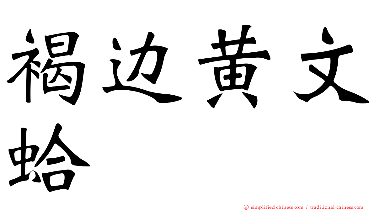 褐边黄文蛤