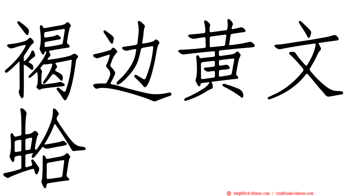 褐边黄文蛤