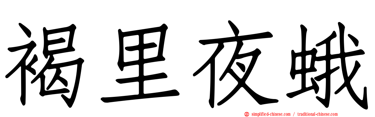 褐里夜蛾