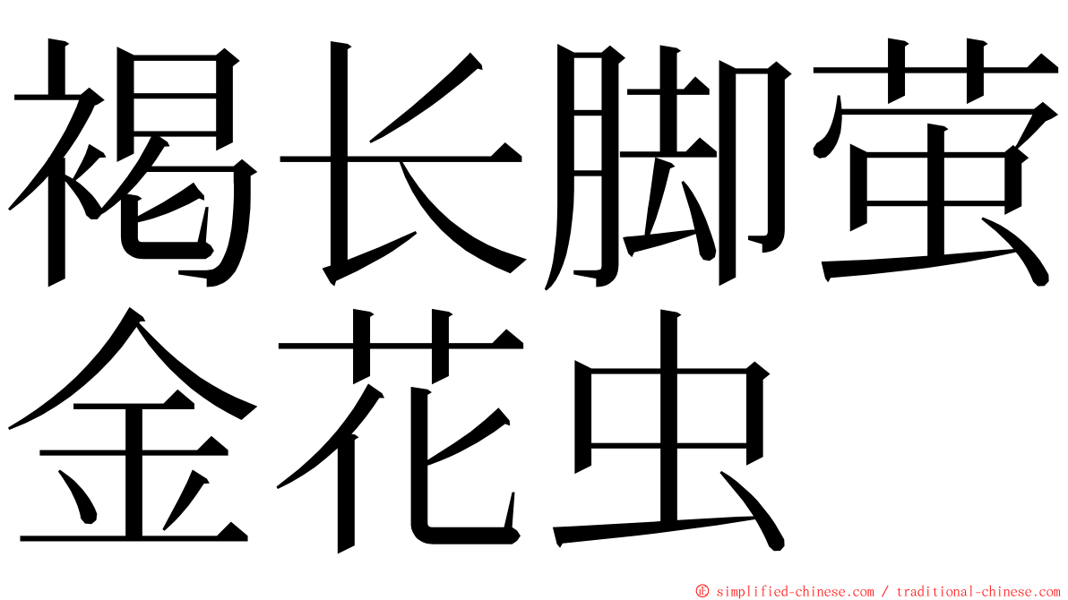 褐长脚萤金花虫 ming font