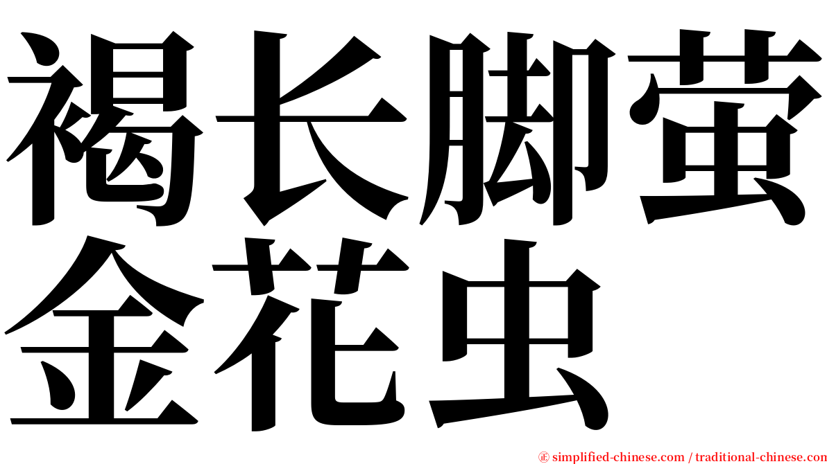 褐长脚萤金花虫 serif font