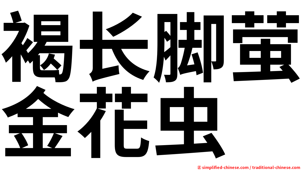褐长脚萤金花虫