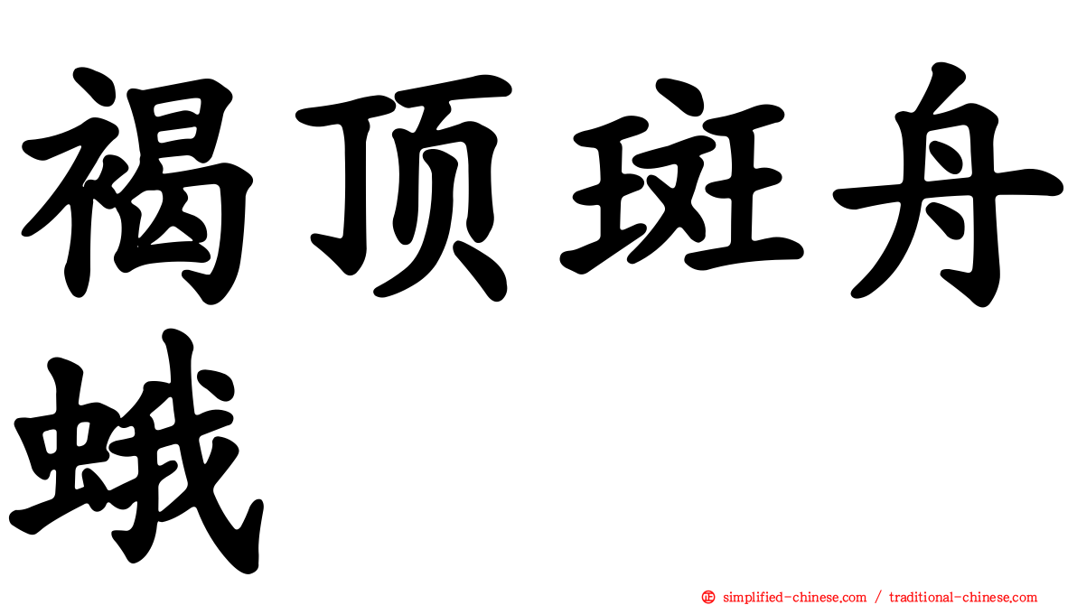 褐顶斑舟蛾