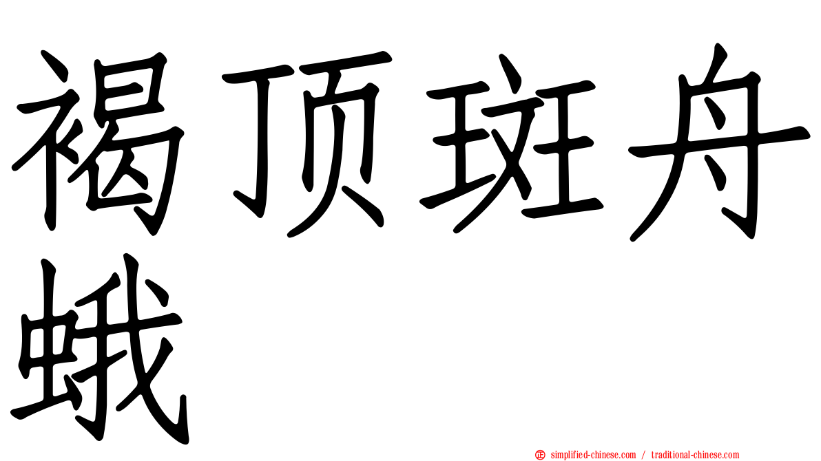 褐顶斑舟蛾