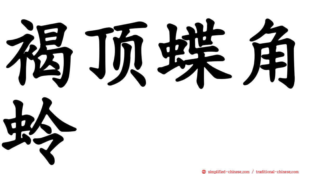 褐顶蝶角蛉
