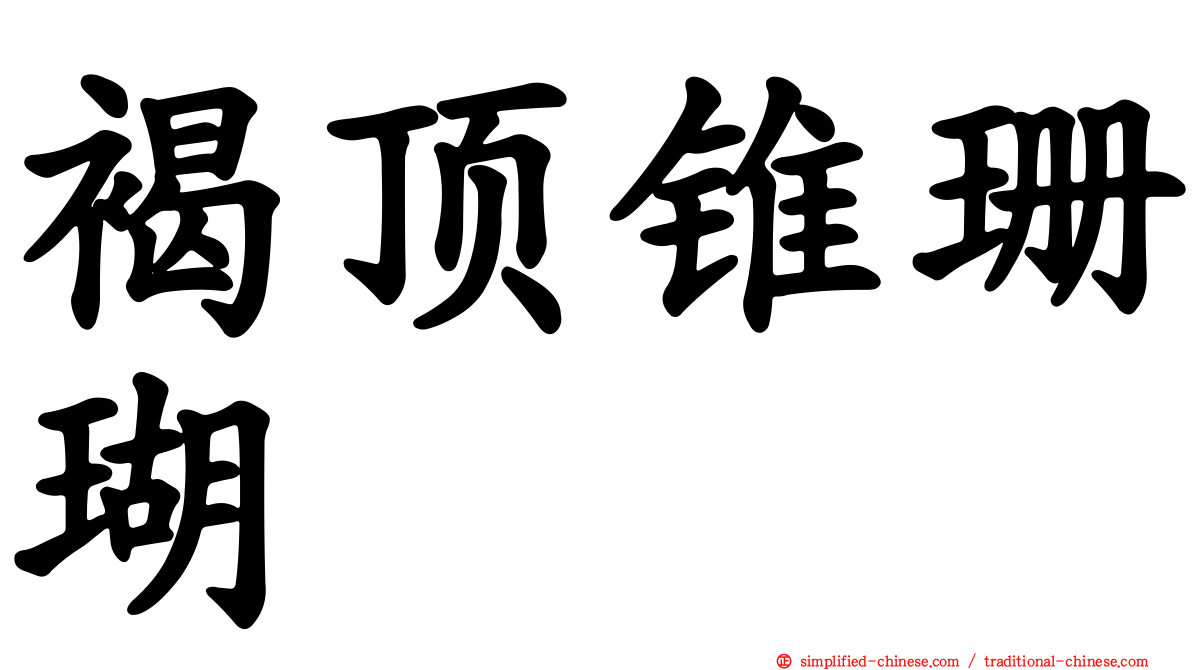 褐顶锥珊瑚
