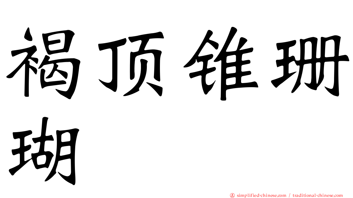褐顶锥珊瑚
