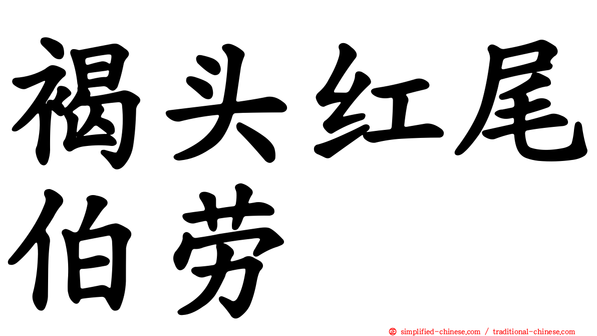 褐头红尾伯劳