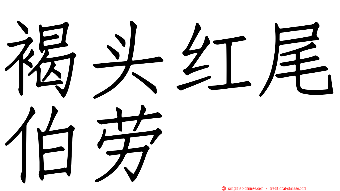 褐头红尾伯劳