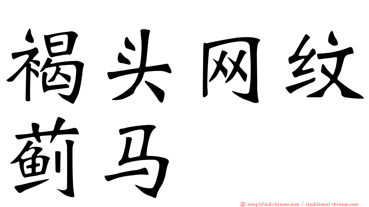褐头网纹蓟马