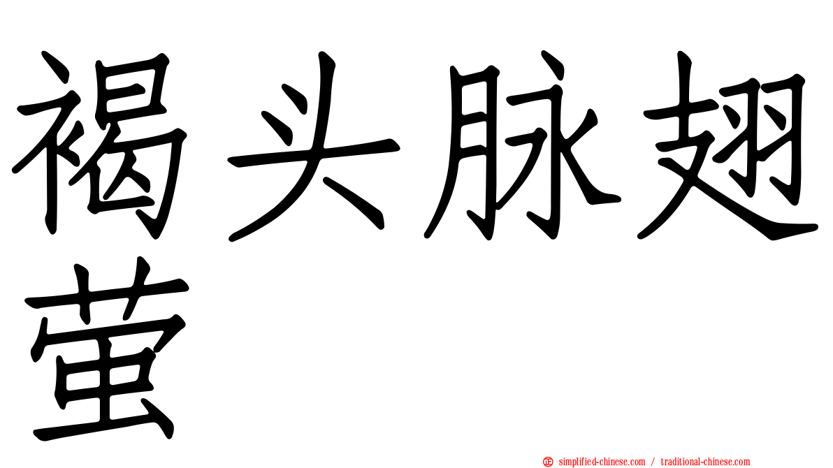 褐头脉翅萤