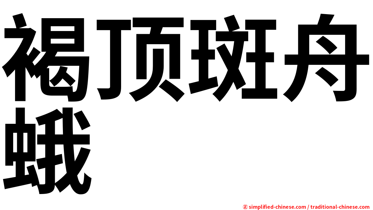 褐顶斑舟蛾