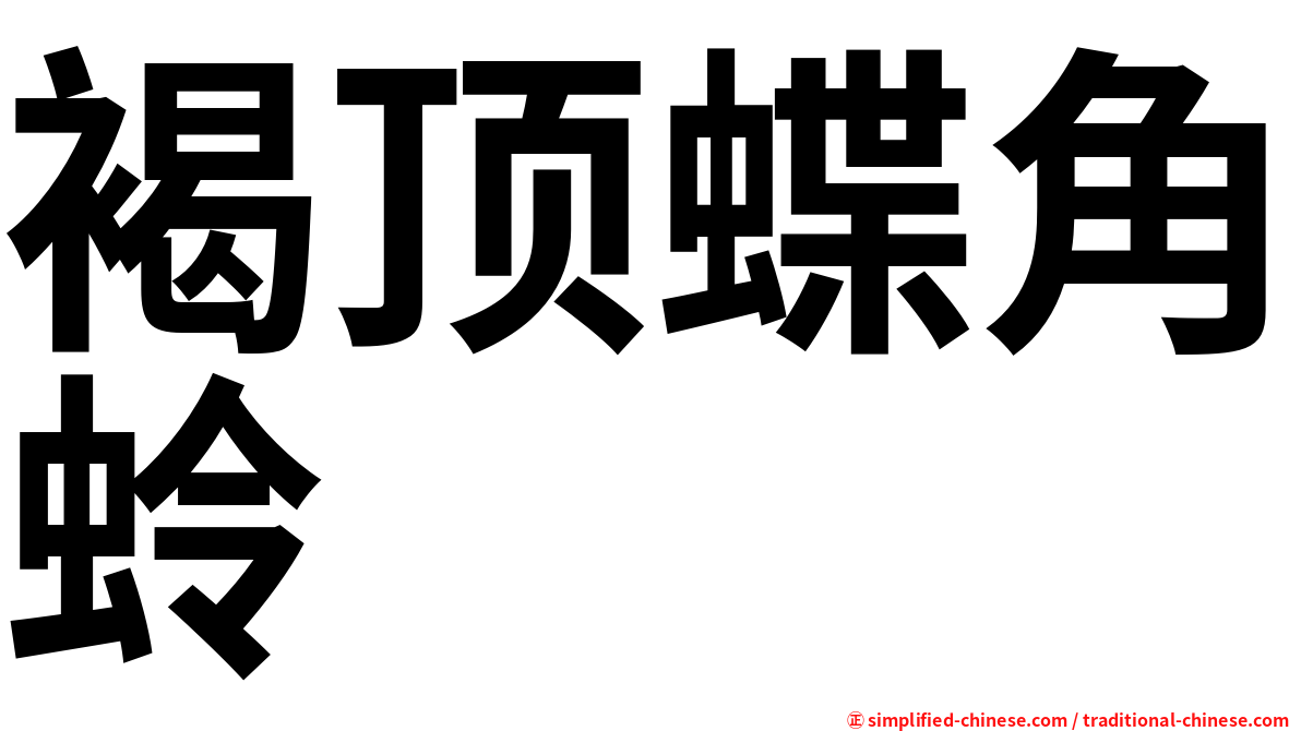 褐顶蝶角蛉