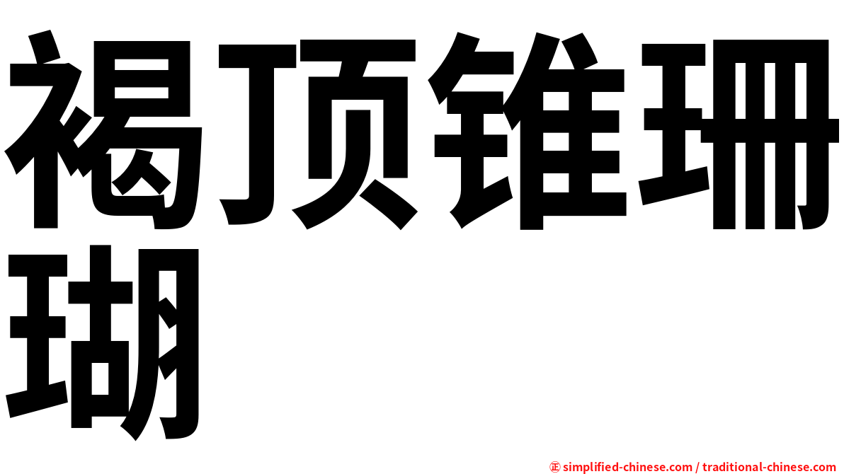 褐顶锥珊瑚