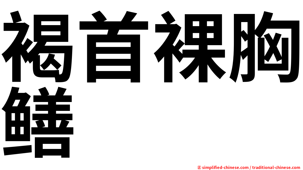 褐首裸胸鳝