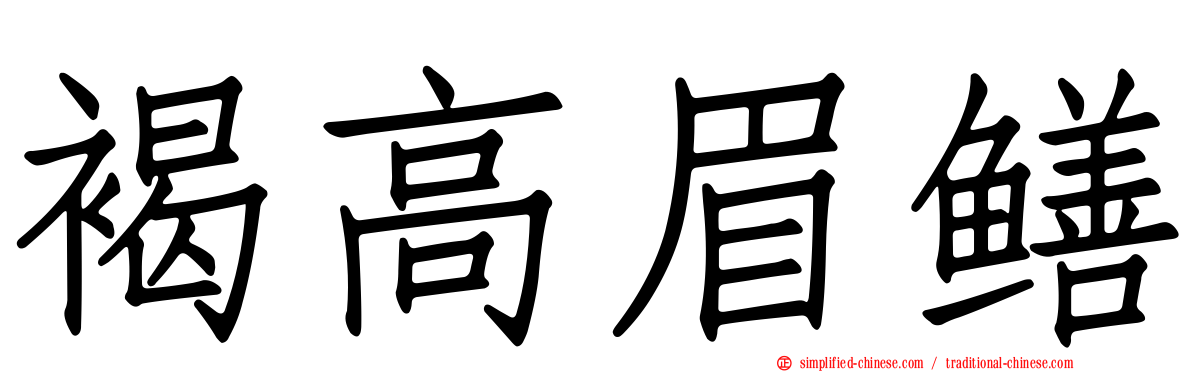 褐高眉鳝