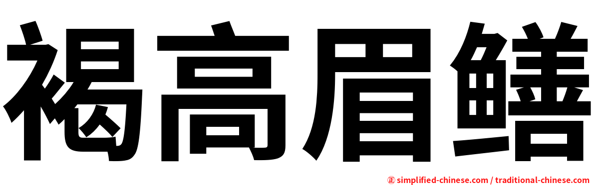 褐高眉鳝