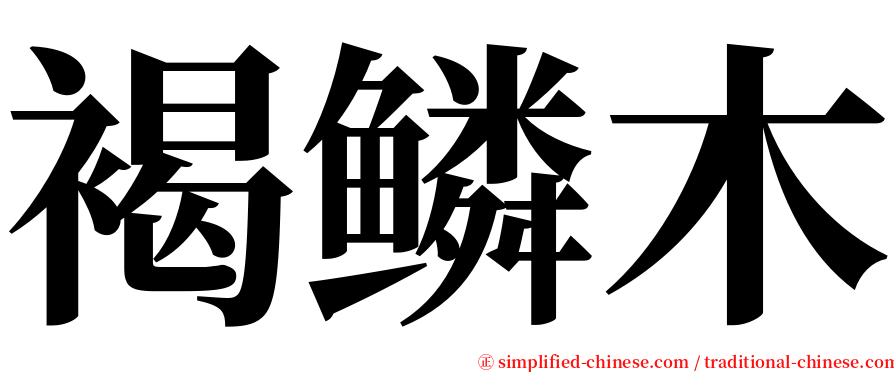 褐鳞木 serif font